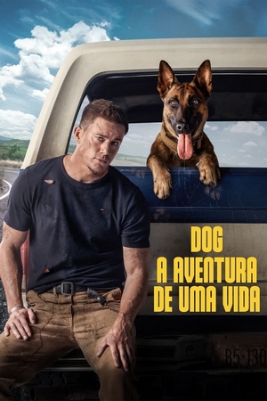 Dog: A Aventura de Uma Vida Dual Áudio