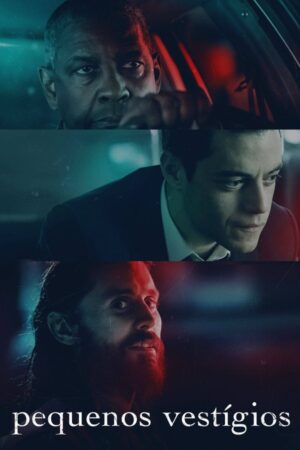 Os Pequenos Vestígios Dual Áudio