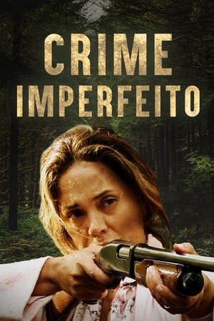 Crime Imperfeito Dual Áudio