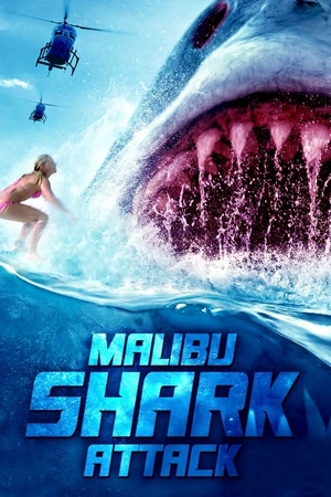 Tubarão de Malibu Dublado