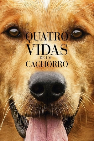 Quatro Vidas de Um Cachorro Dual Áudio