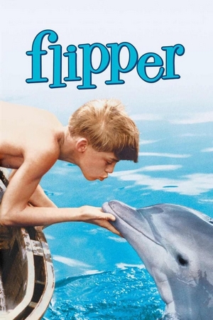 Flipper: O Menino e o Delfim Dual Áudio